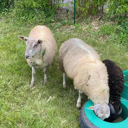 L'odon Dom wakacyjny *